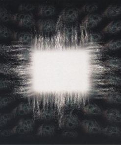 TOOL Aenima CD