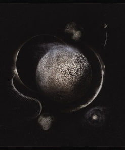 ENTHRONED Cold Black Suns DIGIPACK CD
