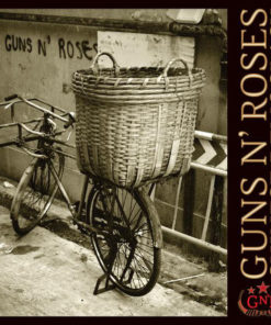 GUNS N' ROSES Chinese Democracy CD