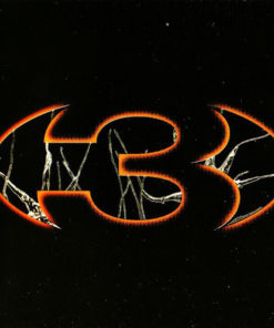 3 Wake Pig CD