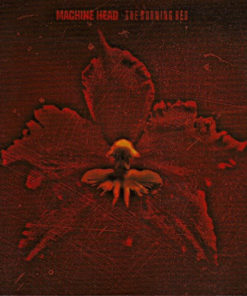 MACHINE HEAD Burning Red CD