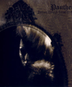PANTHEIST Journey Through Lands Unknown CD