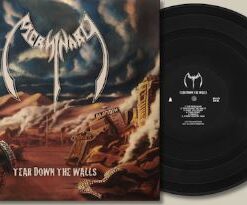 MERSINARY Tear Down The Walls LP BLACK VINYL