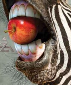 A-Z A-Z LP WHITE VINYL 300 copies worldwide