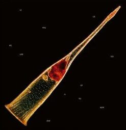 LEPROUS Melodies of Atonement 2LP BLACK VINYL