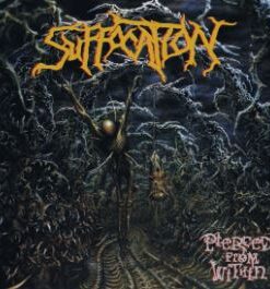 SUFFOCATION Pierced from Within LP COLOURED VINYL