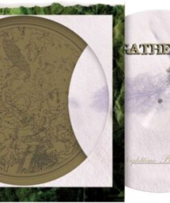 GATHERING Nighttime Birds LP PICTURE DISC VINYL