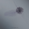 GATHERING Nighttime Birds LP BLUEBERRY VINYL