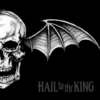 AVENGED SEVENFOLD Hail to the King CD