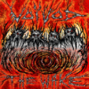 VOIVOD the Wake CD