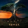 TEMIC Ceiba 2LP COLOURED VINYL