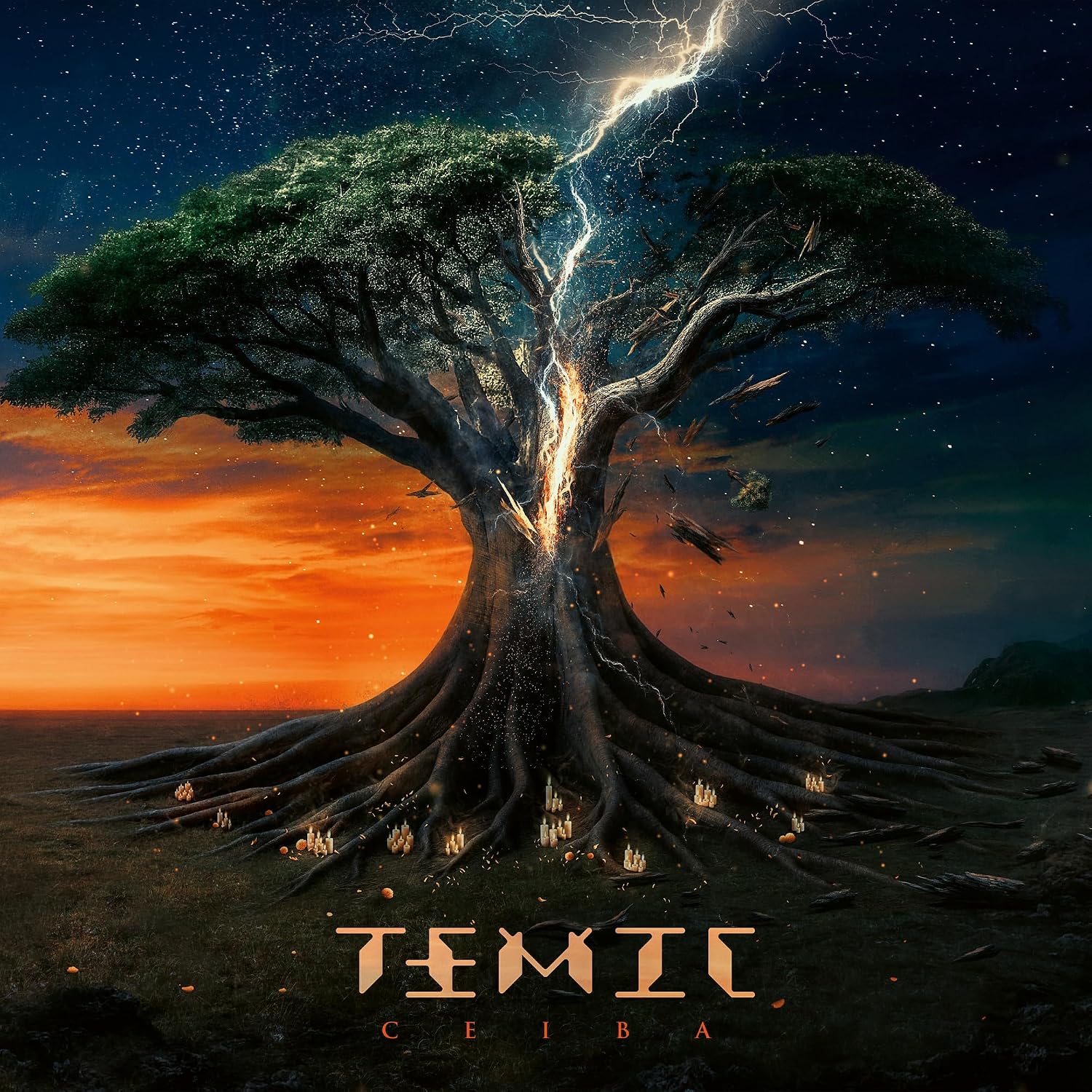 TEMIC 2026