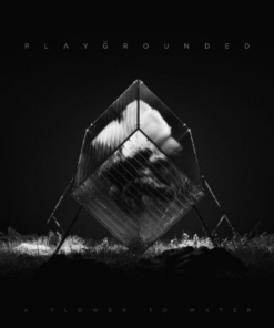 PLAYGROUNDED A Flower to Water LP VINYL