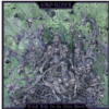 SMOULDER Witch Wife in an Alien World CD