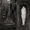 WOLVES IN THE THRONE ROOM Estuary MEDIABOOK CD